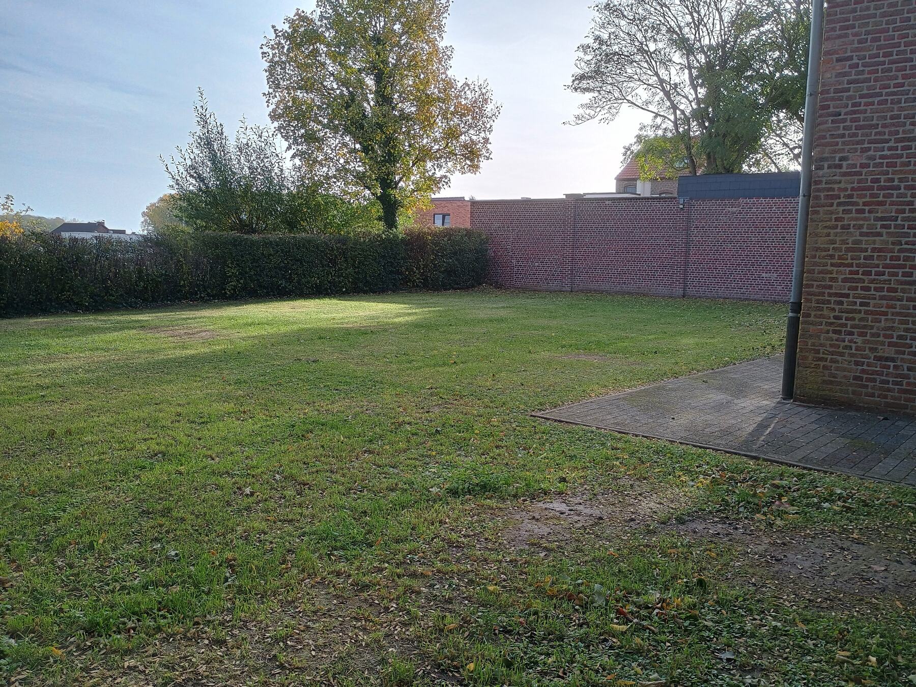 Grasveld naast het gebouw